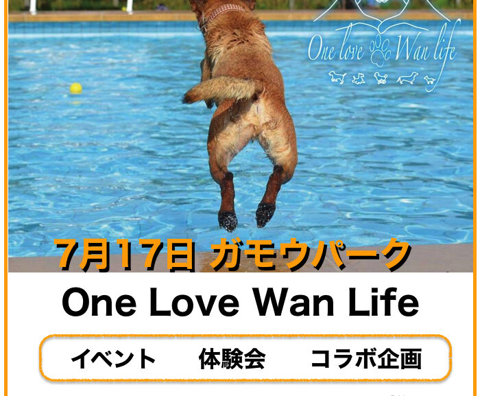 7月17日 One Love Wan Life at ガモウパーク イベントの様子をご紹介